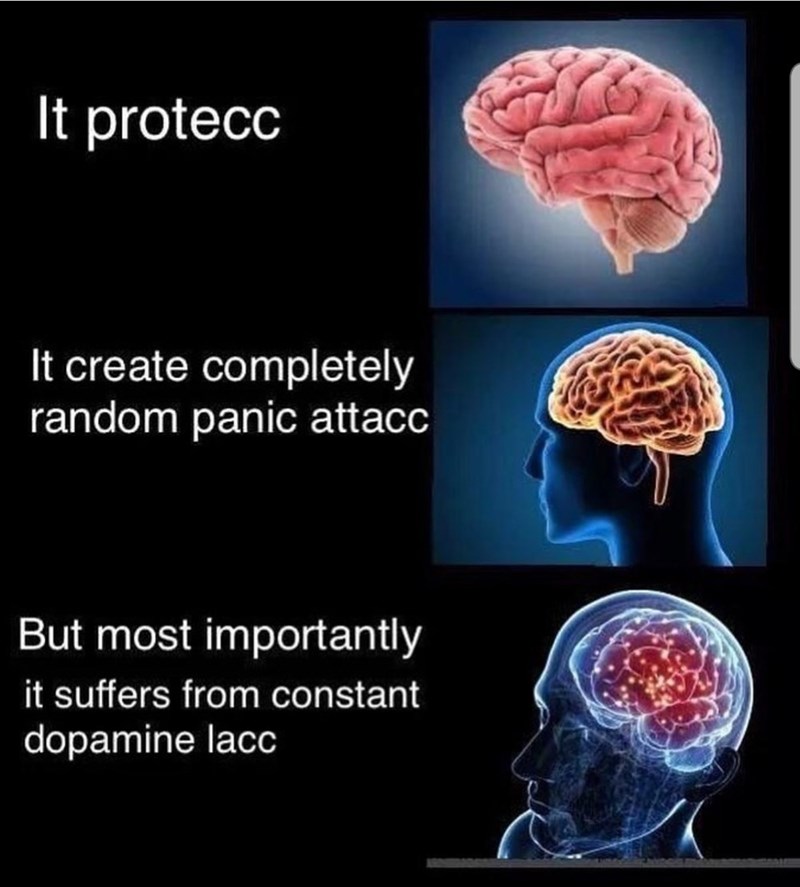 It protecc It create completely random panic attacc But most importantly it suffers from constant dopamine lacc