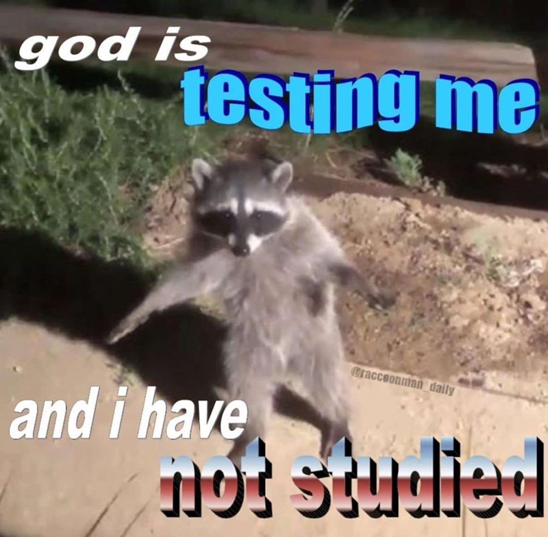 god is testing me and i have @raccoonman daily not studied