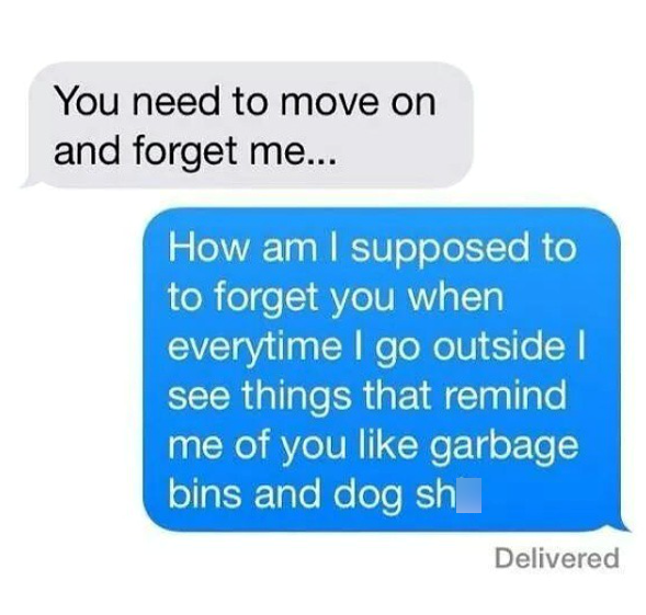 You need to move on and forget me... How am I supposed to to forget you when everytime I go outside I see things that remind me of you like garbage bins and dog sh Delivered
