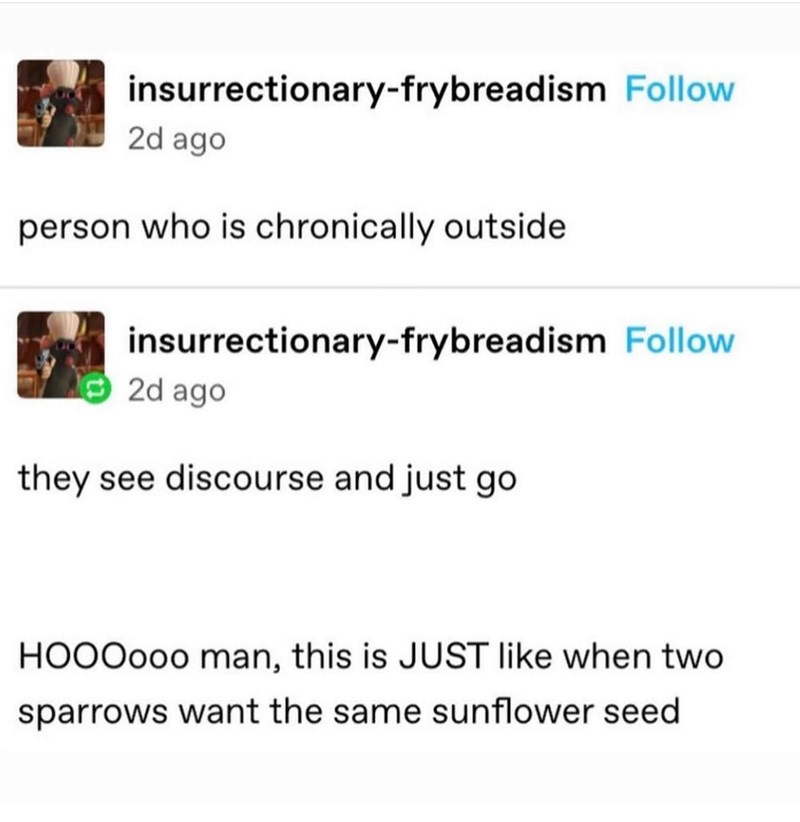 insurrectionary-frybreadism Follow 2d ago person who is chronically outside insurrectionary-frybreadism Follow 2d ago they see discourse and just go HOOOooo man, this is JUST like when two sparrows want the same sunflower seed
