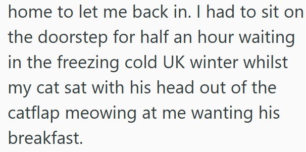 home to let me back in. I had to sit on the doorstep for half an hour waiting in the freezing cold UK winter whilst my cat sat with his head out of the catflap meowing at me wanting his breakfast.