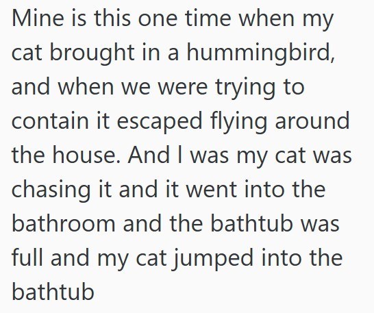 Mine is this one time when my cat brought in a hummingbird, and when we were trying to contain it escaped flying around the house. And I was my cat was chasing it and it went into the bathroom and the bathtub was full and my cat jumped into the bathtub