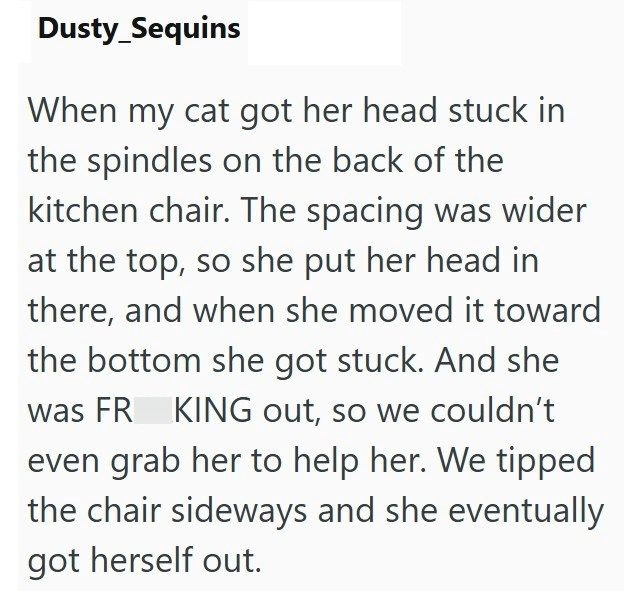 Dusty_Sequins When my cat got her head stuck in the spindles on the back of the kitchen chair. The spacing was wider at the top, so she put her head in there, and when she moved it toward the bottom she got stuck. And she was FR KING out, so we couldn't even grab her to help her. We tipped the chair sideways and she eventually got herself out.