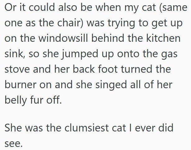 Or it could also be when my cat (same one as the chair) was trying to get up on the windowsill behind the kitchen sink, so she jumped up onto the gas stove and her back foot turned the burner on and she singed all of her belly fur off. She was the clumsiest cat I ever did see.
