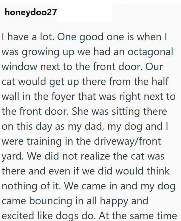 honeydoo27 I have a lot. One good one is when I was growing up we had an octagonal window next to the front door. Our cat would get up there from the half wall in the foyer that was right next to the front door. She was sitting there on this day as my dad, my dog and I were training in the driveway/front yard. We did not realize the cat was there and even if we did would think nothing of it. We came in and my dog came bouncing in all happy and excited like dogs do. At the same time