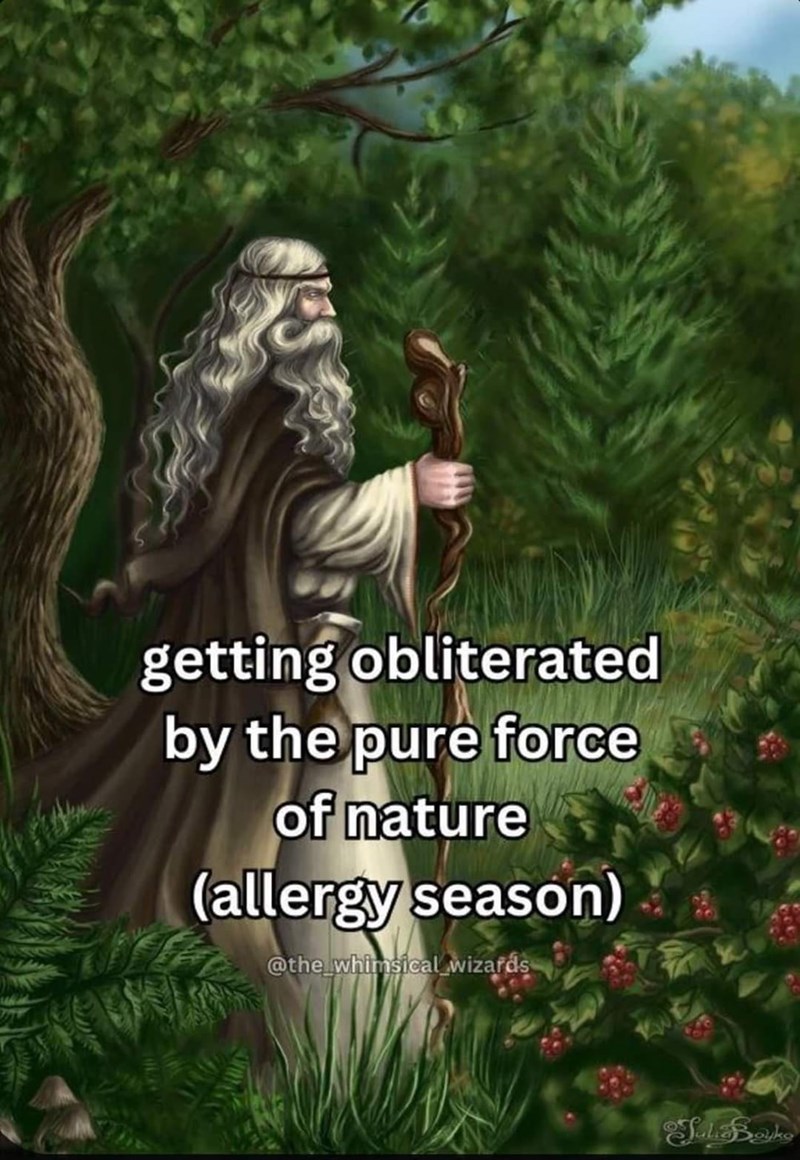 getting obliterated by the pure force of nature (allergy season) @the_whimsical wizards Juli Bayko