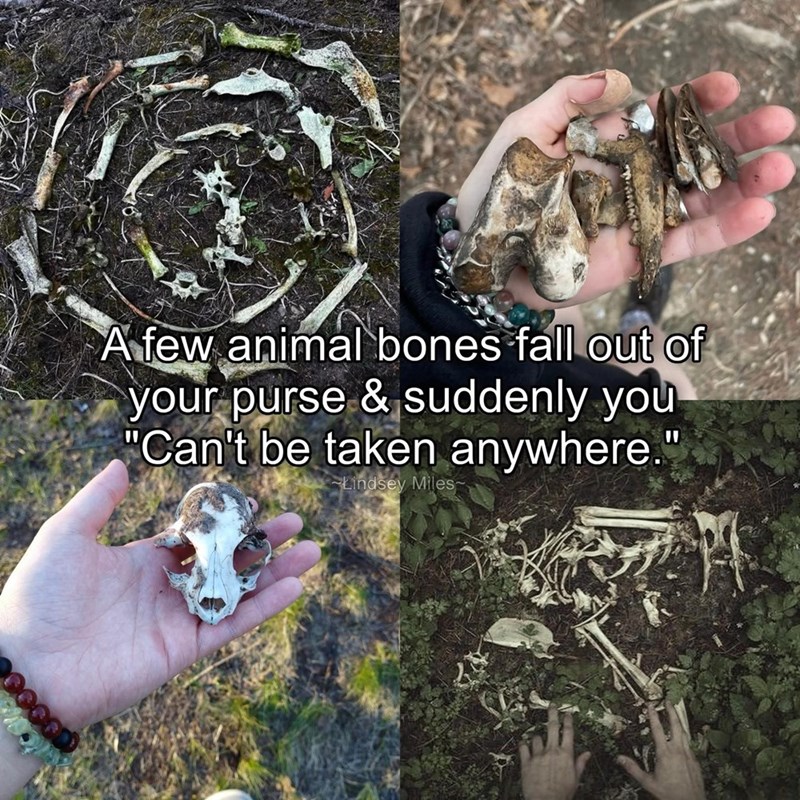 A few animal bones fall out of your purse & suddenly you "Can't be taken anywhere." Lindsey Miles~