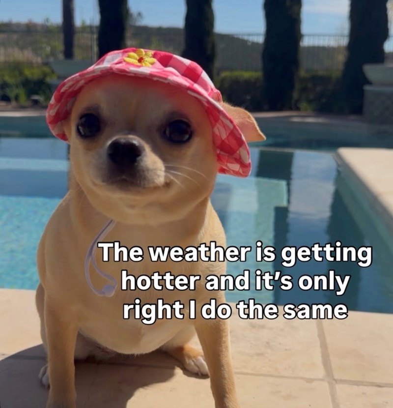The weather is getting hotter and it's only right I do the same