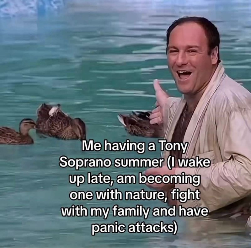 Me having a Tony Soprano summer (I wake up late, am becoming one with nature, fight with my family and have panic attacks)