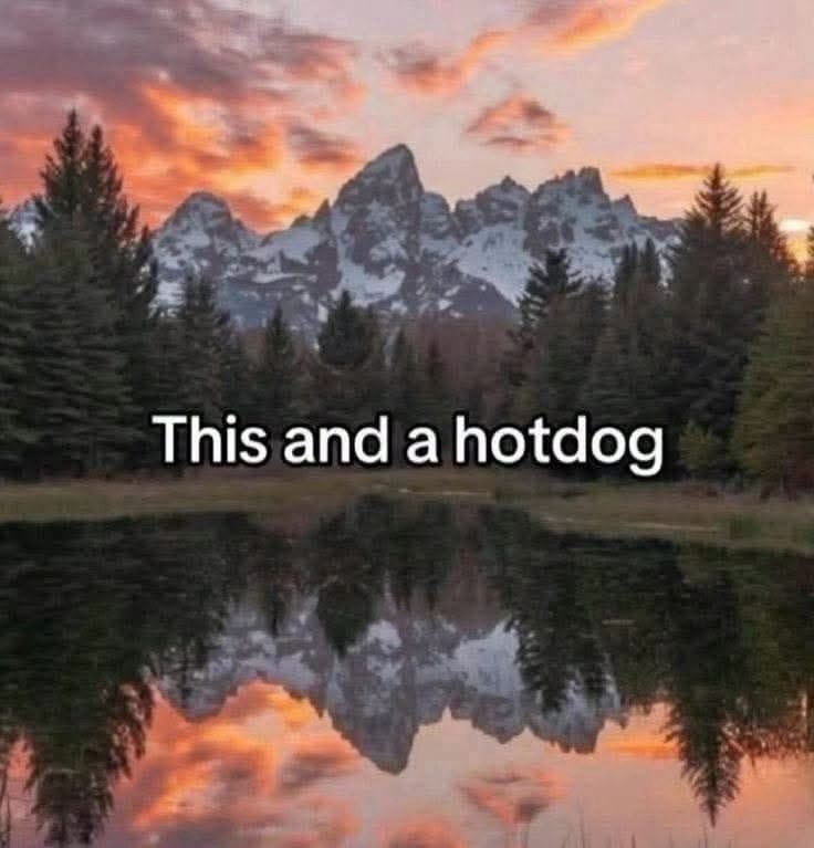This and a hotdog