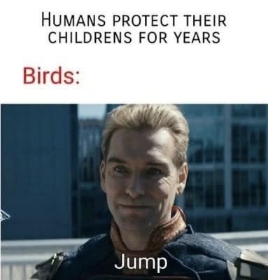 HUMANS PROTECT THEIR CHILDRENS FOR YEARS Birds: Jump