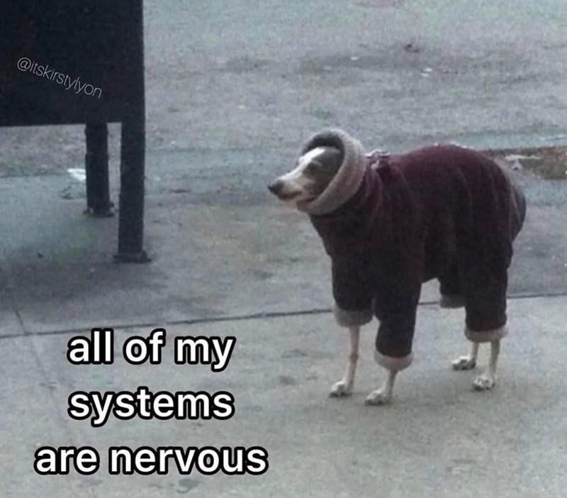 @itskirstylyon all of my systems are nervous