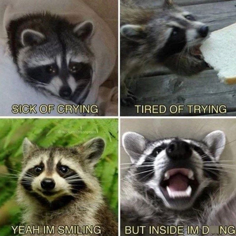 SICK OF CRYING TIRED OF TRYING @necumaltrashposts YEAH IM SMILING BUT INSIDE IM D. ING