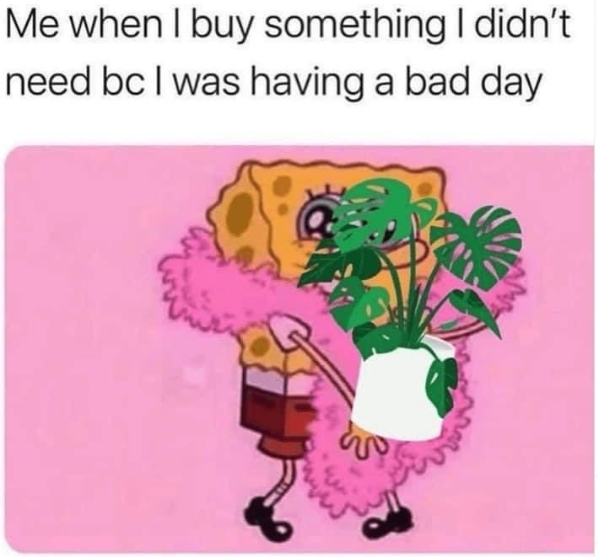Me when I buy something I didn't need bc I was having a bad day 2