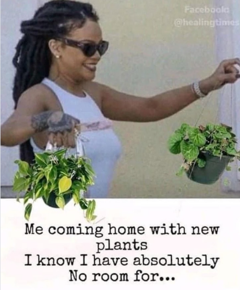 Faceboola @healingtimes Me coming home with new plants I know I have absolutely No room for...