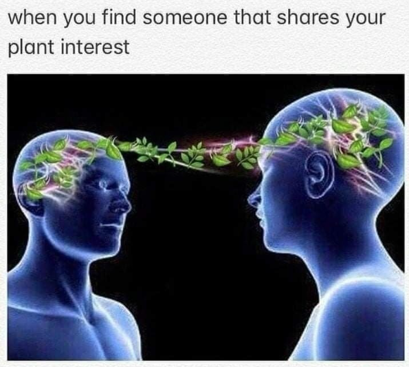 when you find someone that shares your plant interest