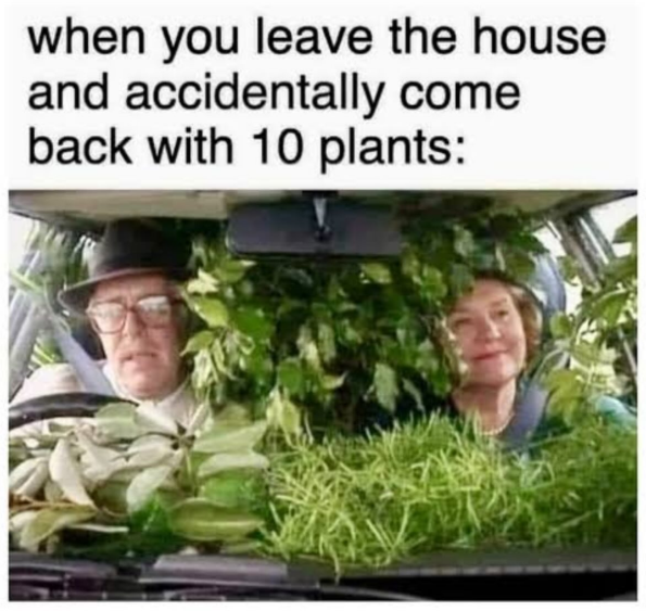 when you leave the house and accidentally come back with 10 plants: