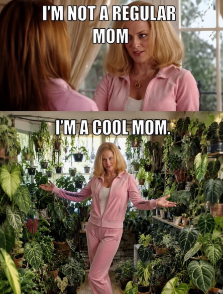 I'M NOT A REGULAR MOM I'M A COOL MOM.
