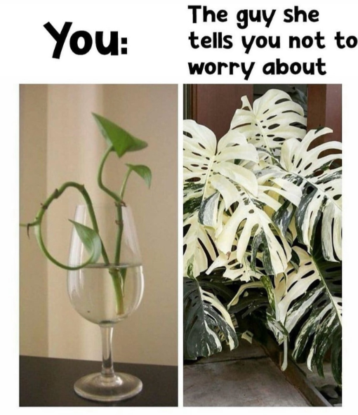 You: The guy she tells you not to worry about