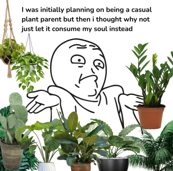 I was initially planning on being a casual plant parent but then i thought why not just let it consume my soul instead D