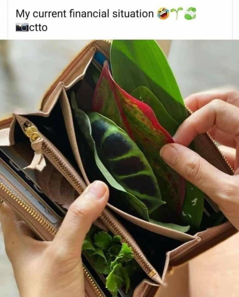 My current financial situation actto