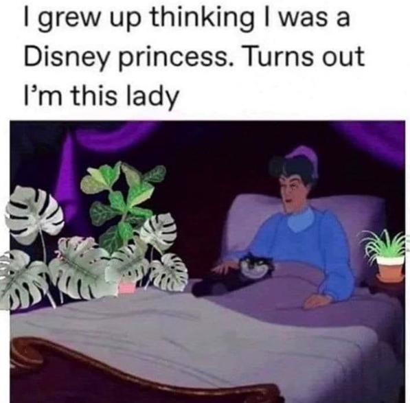 I grew up thinking I was a Disney princess. Turns out I'm this lady