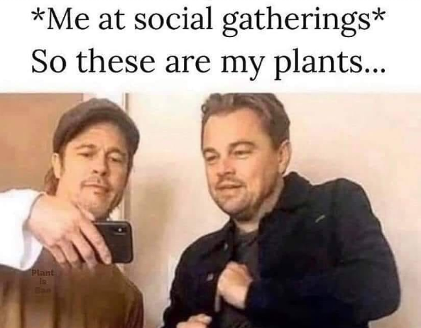 *Me at social gatherings* So these are my plants... Plant is Bar