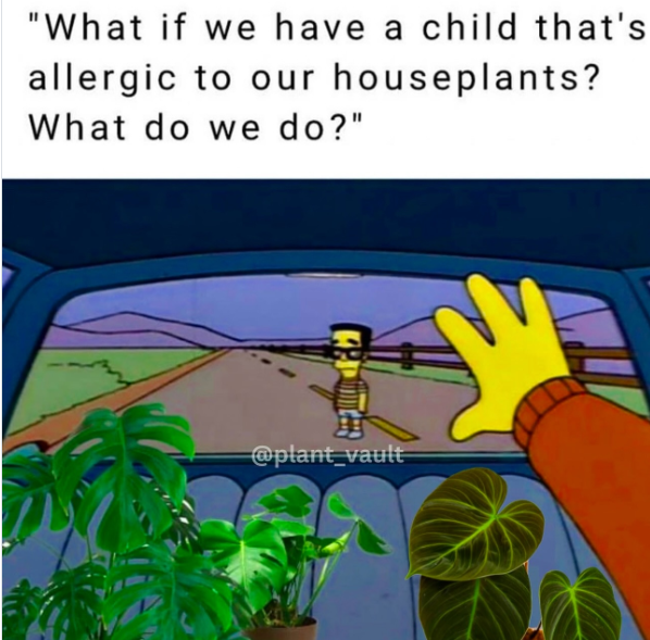 "What if we have a child that's allergic to our houseplants? What do we do?" @plant_vault