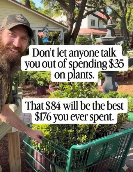Don't let anyone talk you out of spending $35 on plants. That $84 will be the best $176 you ever spent.