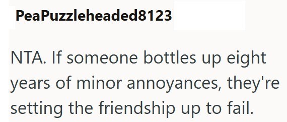 PeaPuzzleheaded8123 NTA. If someone bottles up eight years of minor annoyances, they're setting the friendship up to fail.