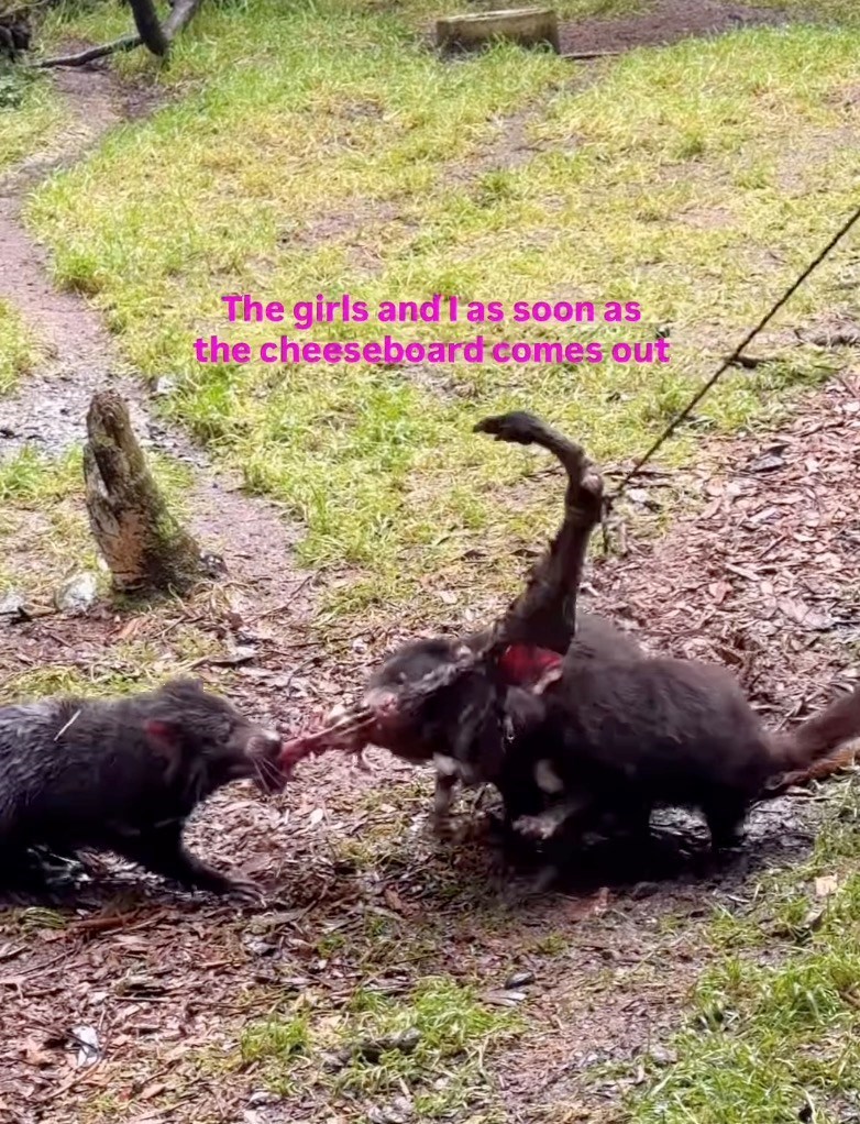 The girls and as soon as the cheeseboard comes out