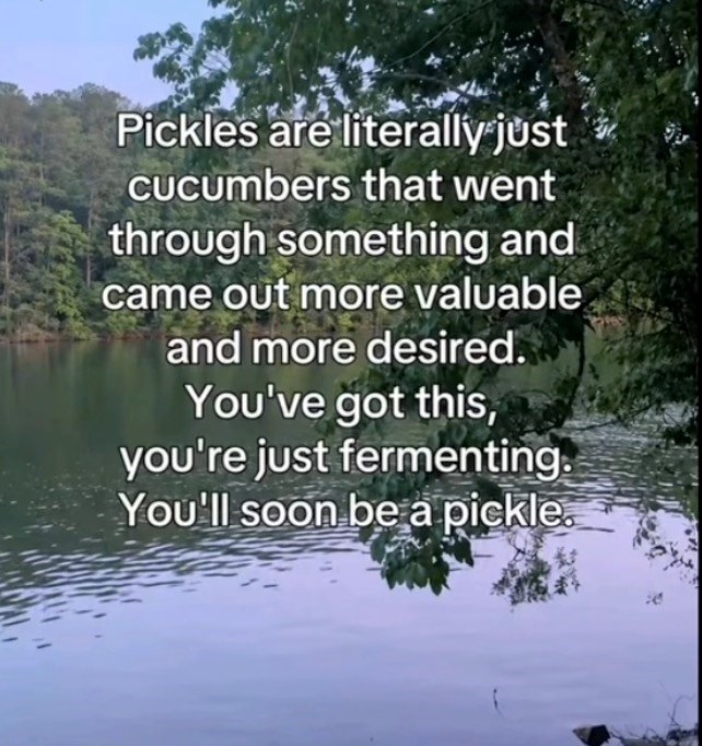 Pickles are literally just Cucumbers that went through something and came out more valuable and more desired. You've got this, you're just fermenting. You'll soon be a pickle.