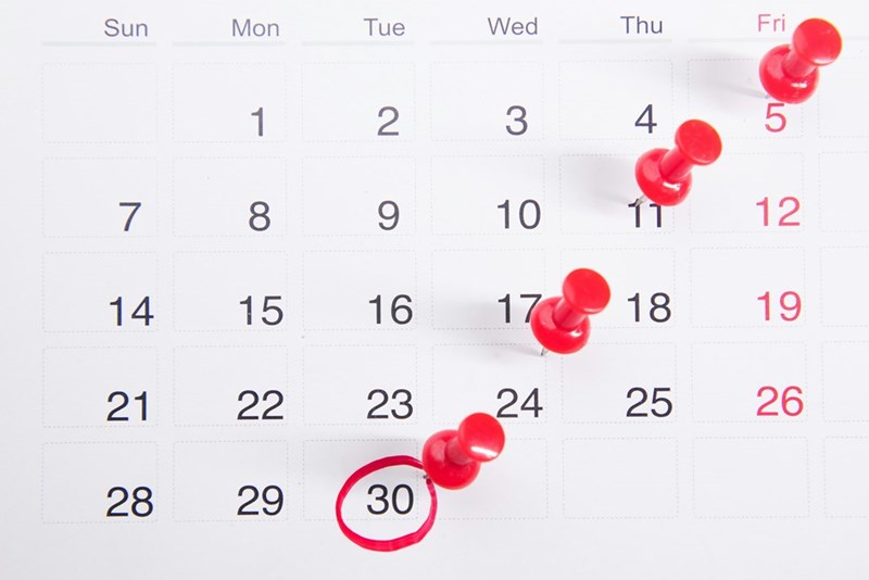Model image of a calendar.