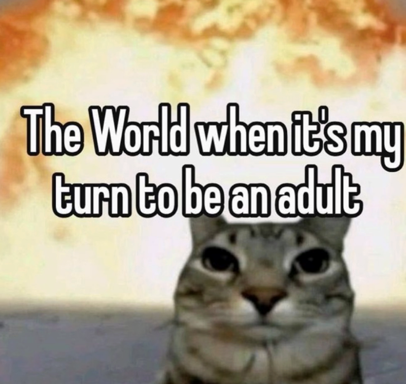 The World when it's my turn to be an adult