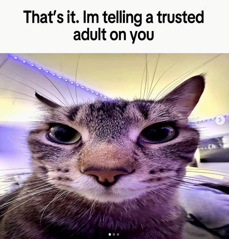 That's it. Im telling a trusted adult on you