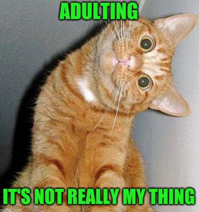 ADULTING IT'S NOT REALLY MY THING mgflip.com