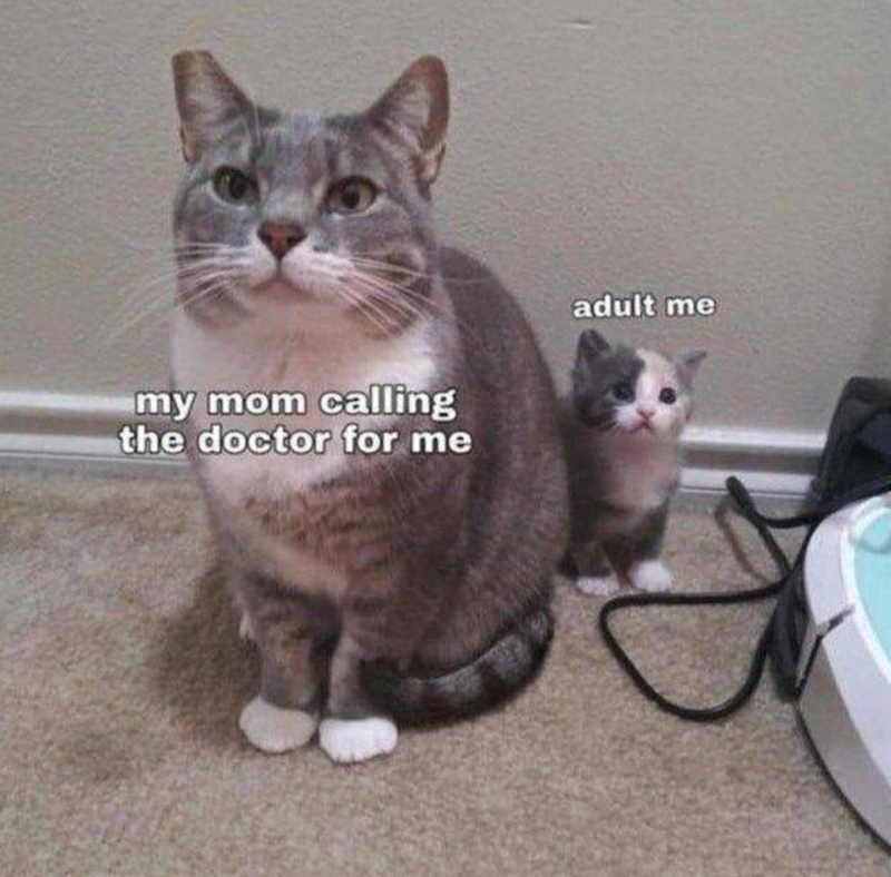 my mom calling the doctor for me adult me
