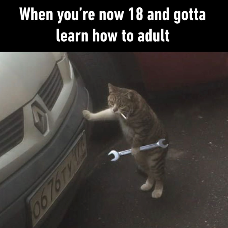 When you're now 18 and gotta learn how to adult A49190 ג