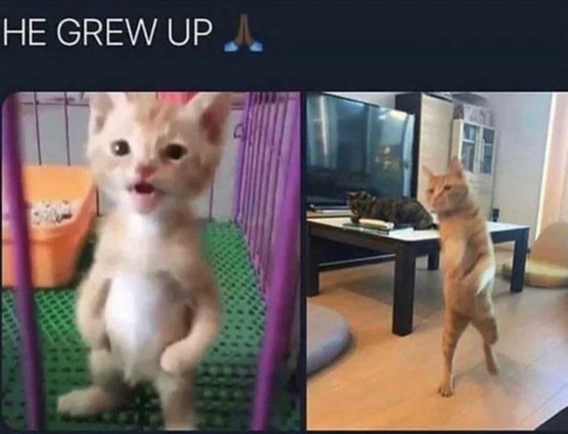 HE GREW UP A