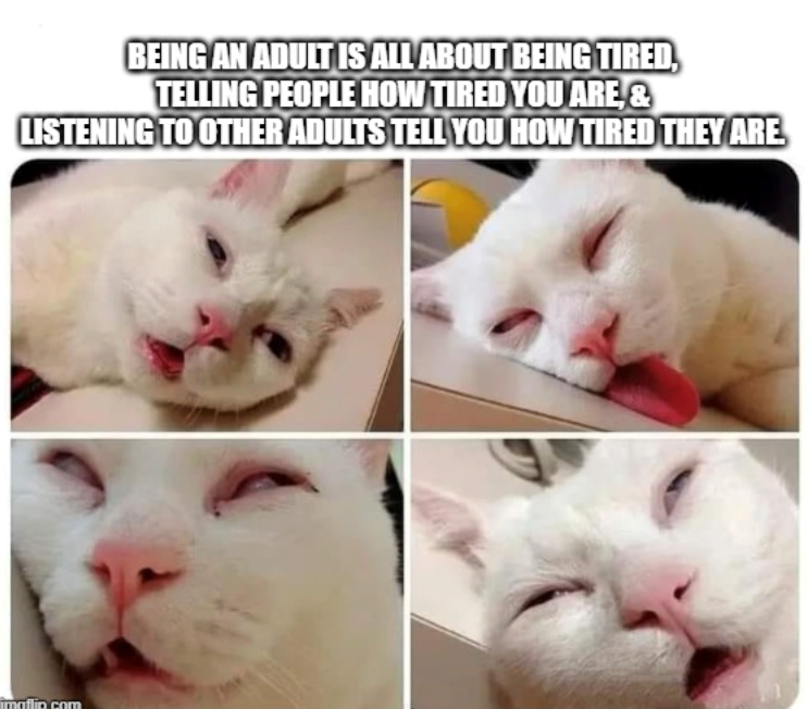 BEING AN ADULT IS ALL ABOUT BEING TIRED, TELLING PEOPLE HOW TIRED YOU ARE,& LISTENING TO OTHER ADULTS TELL YOU HOW TIRED THEY ARE imgflip.com