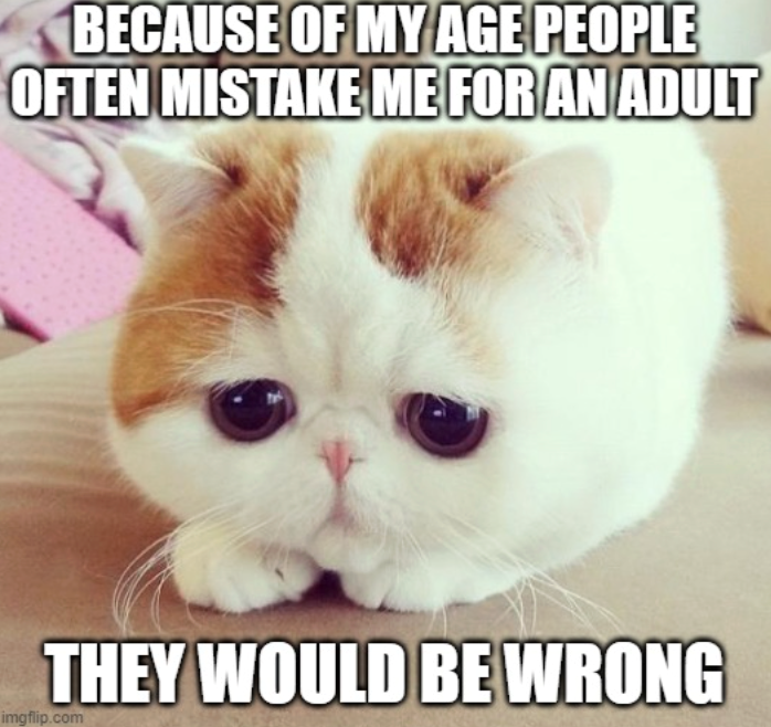 BECAUSE OF MY AGE PEOPLE OFTEN MISTAKE ME FOR AN ADULT THEY WOULD BE WRONG imgflip.com