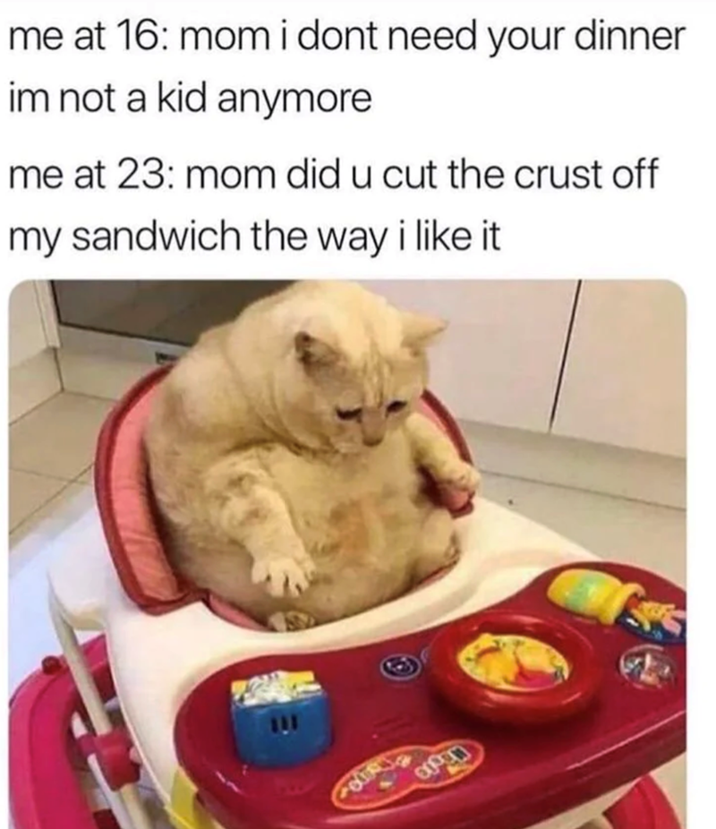 me at 16: mom i dont need your dinner im not a kid anymore me at 23: mom did u cut the crust off my sandwich the way i like it