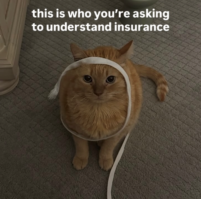 this is who you're asking to understand insurance