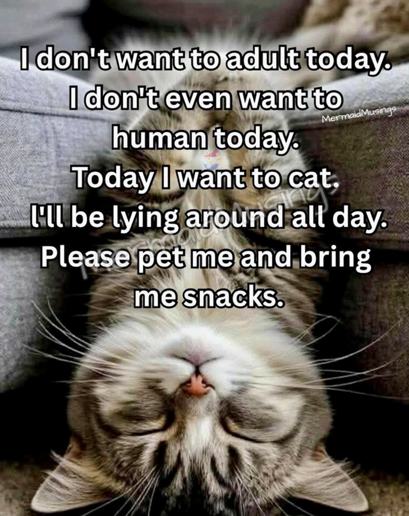 I don't want to adult today. I don't even want to human today. MermaidMusings Today I want to cat, I'll be lying around all day. Please pet me and bring me snacks.