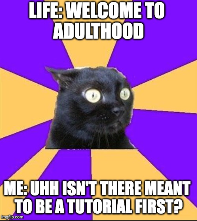 LIFE: WELCOME TO ADULTHOOD ME:UHH ISN'T THERE MEANT TO BE A TUTORIAL FIRST? imgfilp.com