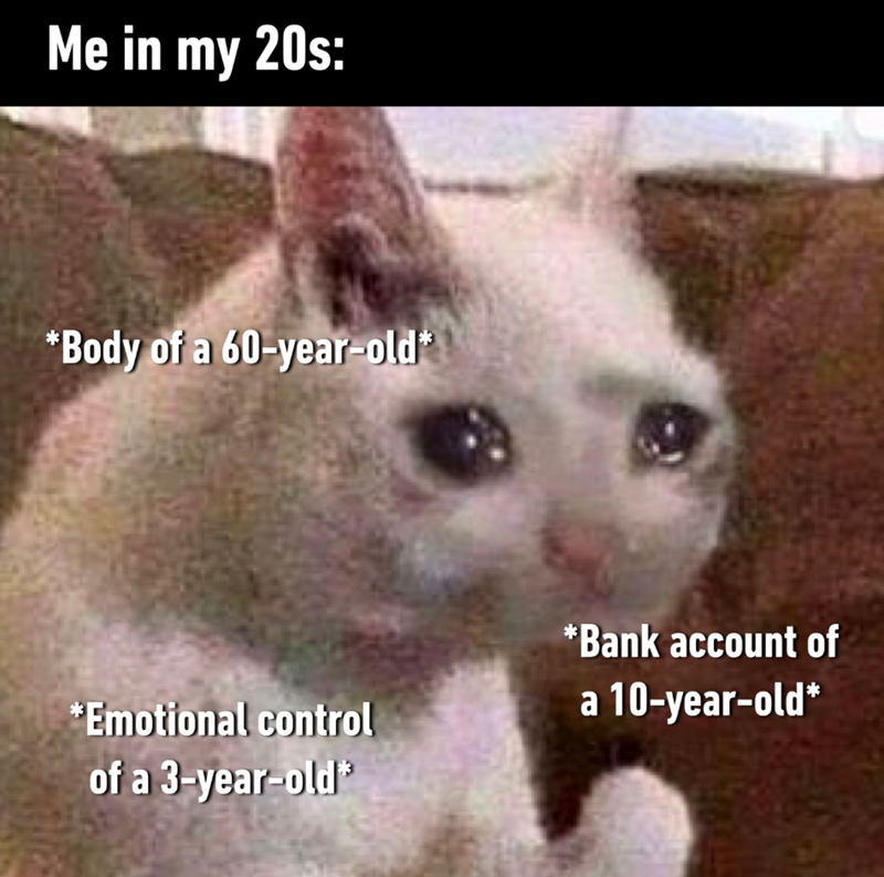 Me in my 20s: *Body of a 60-year-old* *Emotional control of a 3-year-old* *Bank account of a 10-year-old*