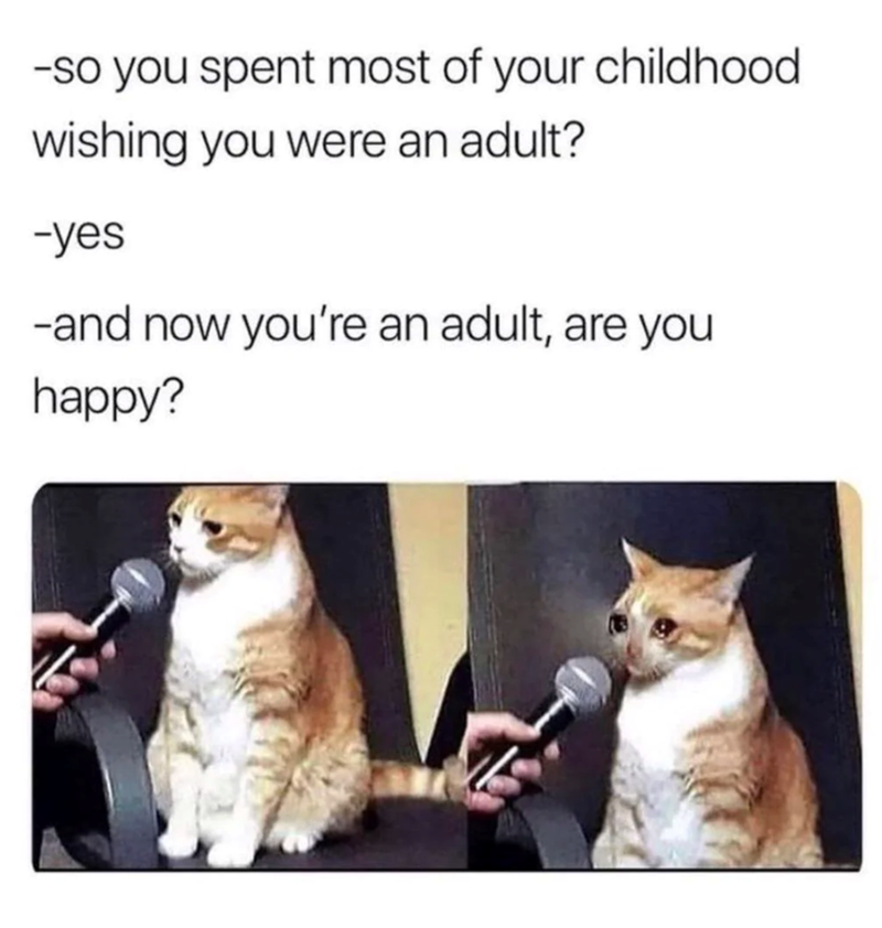 -so you spent most of your childhood wishing you were an adult? -yes -and now you're an adult, are you happy?