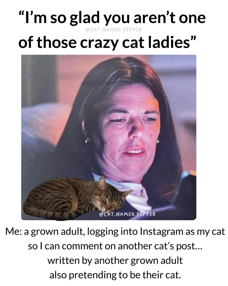 "I'm so glad you aren't one @CAT.NAMED.PEPPER of those crazy cat ladies" @CAT.NAMED PEPPER Me: a grown adult, logging into Instagram as my cat so I can comment on another cat's post... written by another grown adult also pretending to be their cat.