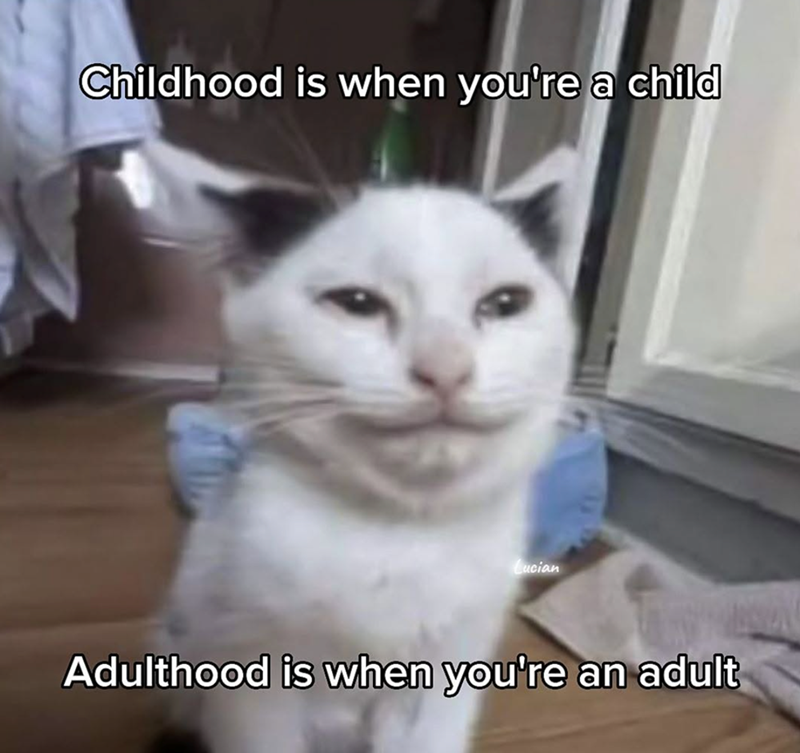 Childhood is when you're a child Lucian Adulthood is when you're an adult