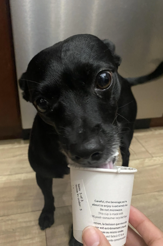 tems in order: 3 tem: 3 of 3 Careful, the beverage you' about to enjoy is extremely hot Do not microwave This cup is made with % post-consumer recycled fr ntion, la boisson que voura rer est extrêmement cha as au micro-ondes est faite à 10% près consomma